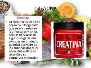 CREATINA
Creatina
• La creatina és un ácido
orgánico nitrogenado
que se encuentra en
los musculos y en las
celulas nerviosas de
algunos organismos
vivos, es un producto
químico derivado de
los aminoácidos muy
parecidos a ellos en
relación a su
estructura molecular.
 