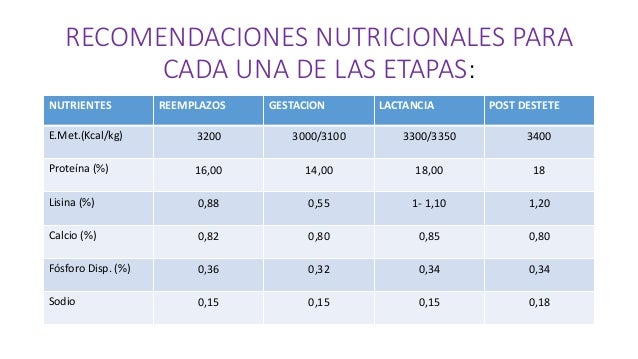 Necesidades nutrientes en cerdos