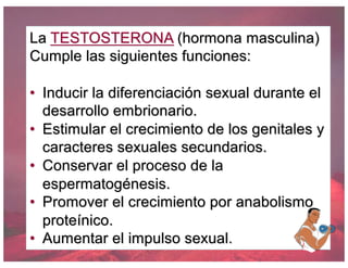 La TESTOSTERONA (hormona masculina)
Cumple las siguientes funciones:
• Inducir la diferenciación sexual durante el
desarrollo embrionario.
• Estimular el crecimiento de los genitales y
caracteres sexuales secundarios.
• Conservar el proceso de la
espermatogénesis.
• Promover el crecimiento por anabolismo
proteínico.
• Aumentar el impulso sexual.
 