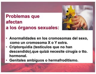 Problemas que
afectan
a los órganos sexuales:
• Anormalidades en los cromosomas del sexo,
como un cromosoma X o Y extra.
• Criptorquidia (testículos que no han
descendido),que quizá necesite cirugía o tto.
hormonal.
• Genitales ambiguos o hermafroditismo.
 