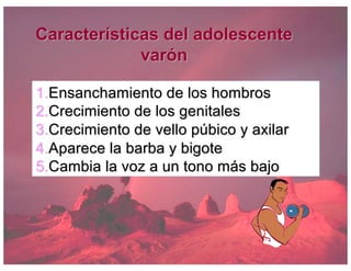 Características del adolescente
varón
1.Ensanchamiento de los hombros
2.Crecimiento de los genitales
3.Crecimiento de vello púbico y axilar
4.Aparece la barba y bigote
5.Cambia la voz a un tono más bajo
 