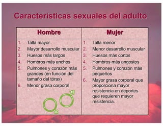 Características sexuales del adulto
Hombre Mujer
1. Talla mayor
2. Mayor desarrollo muscular
3. Huesos más largos
4. Hombros más anchos
5. Pulmones y corazón más
grandes (en función del
tamaño del tórax)
6. Menor grasa corporal
1. Talla menor
2. Menor desarrollo muscular
3. Huesos más cortos
4. Hombros más angostos
5. Pulmones y corazón más
pequeños
6. Mayor grasa corporal que
proporciona mayor
resistencia en deportes
que requieren mayor
resistencia.
 