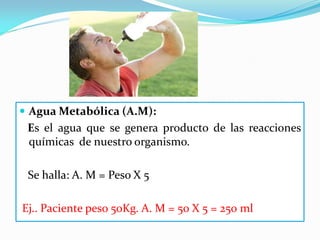  Agua Metabólica (A.M):
 Es el agua que se genera producto de las reacciones
 químicas de nuestro organismo.

 Se halla: A. M = Peso X 5

Ej.. Paciente peso 50Kg. A. M = 50 X 5 = 250 ml
 
