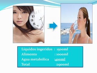  Líquidos ingeridos : 1500ml
 Alimento          : 1000ml
 Agua metabólica   :400ml
 Total              :2900ml
 