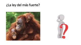 ¿La ley del más fuerte?
 