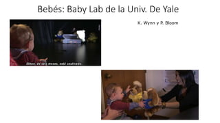 Bebés: Baby Lab de la Univ. De Yale
K. Wynn y P. Bloom
 