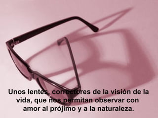 Unos lentes, correctores de la visión de la vida, que nos permitan observar con amor al prójimo y a la naturaleza.