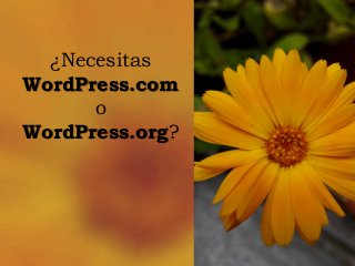 ¿Necesitas 
WordPress.com 
o 
WordPress.org?  