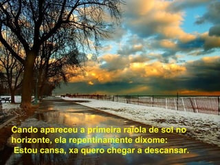 Cando apareceu a primeira raiola de sol no
horizonte, ela repentinamente díxome:
Estou cansa, xa quero chegar a descansar.
 