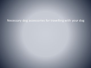 Necessary dog accessories for travelling with your dog
 