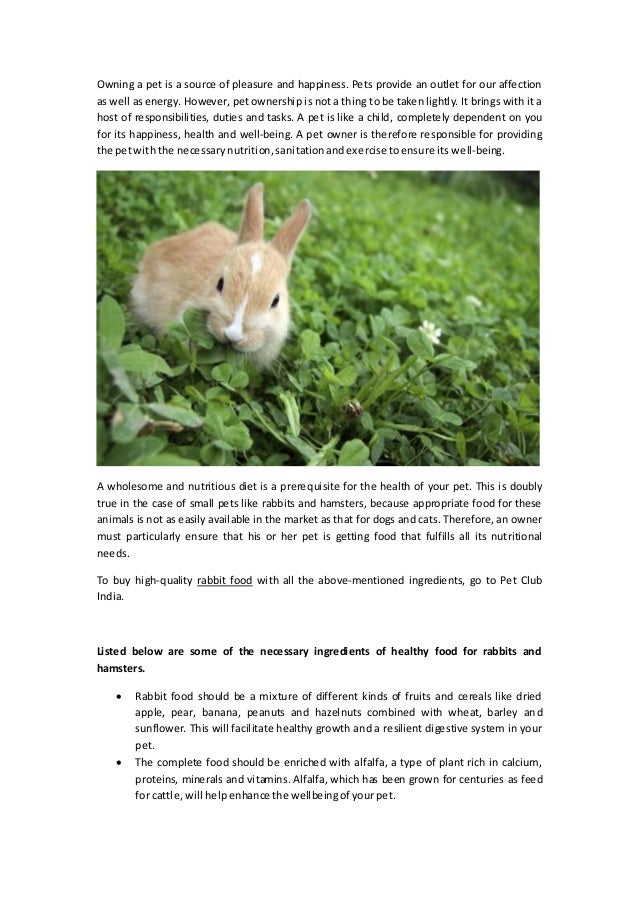 good food for rabbits