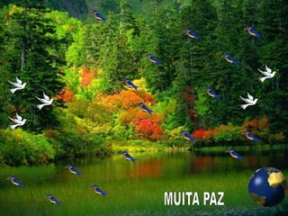 Necessidade da Autoeducacão