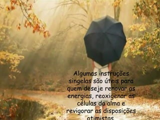 Algumas instruções
singelas são úteis para
quem deseje renovar as
energias, reoxigenar as
células da alma e
revigorar as disposições
 