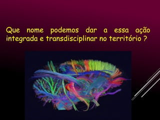 Que nome podemos dar a essa ação
integrada e transdisciplinar no território ?

 