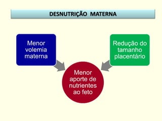 Menor
aporte de
nutrientes
ao feto
Menor
volemia
materna
Redução do
tamanho
placentário
DESNUTRIÇÃO MATERNA
 