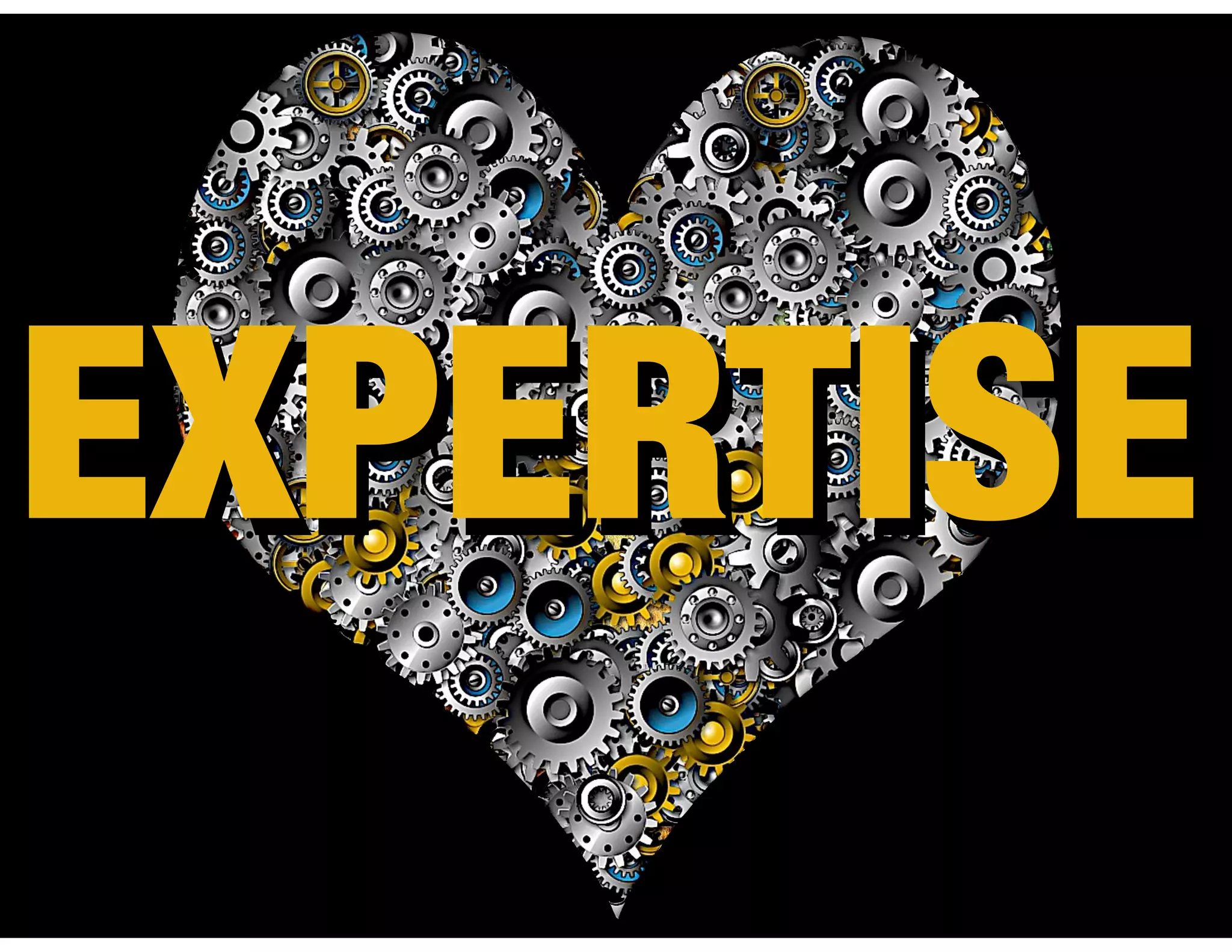 EXPERTISEEXPERTISE