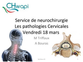 Service	de	neurochirurgie	
Les	pathologies	Cervicales	
Vendredi	18	mars		
M	Triﬀaux	
A	Bouras	
18/03/16	 Nech4you	03	 1	
 