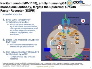 [object Object],[object Object],[object Object],[object Object],[object Object],[object Object],[object Object],Necitumumab IgG1 MAb  ADCC 1 3 PTEN AKT STAT PI3-K pY pY pY GRB2 SOS RAS RAF MEK MAPK Gene activation Cell-cycle progression Survival (↓ apoptosis) Angiogenesis Proliferation Metastasis Chemo- therapy Radiation EGFR pool ↑  DNA  repair activity 2 Necitumumab (IMC-11F8), a fully human IgG1 monoclonal antibody, targets the Epidermal Growth Factor Receptor (EGFR) Kuenen B, Witteveen PO, Ruijter R, Giaccone G, Dontabhaktuni A, Fox F, Katz T, Youssoufian H, Zhu J, Rowinsky EK, Voest EE. A phase I pharmacologic study of necitumumab (IMC-11F8), a fully human IgG1 monoclonal antibody directed against EGFR in patients with advanced solid malignancies. Clin Cancer Res. 2010 Mar 15;16(6):1915-23. Epub 2010 Mar 2. 