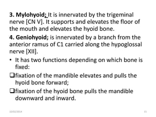 3. Mylohyoid; It is innervated by the trigeminal
nerve [CN V]. It supports and elevates the floor of
the mouth and elevates the hyoid bone.
4. Geniohyoid; is innervated by a branch from the
anterior ramus of C1 carried along the hypoglossal
nerve [XII].
• It has two functions depending on which bone is
fixed:
fixation of the mandible elevates and pulls the
hyoid bone forward;
fixation of the hyoid bone pulls the mandible
downward and inward.
10/02/2014

15

 