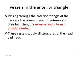 Vessels in the anterior triangle
Passing through the anterior triangle of the
neck are the common carotid arteries and
their branches, the external and internal
carotid arteries.
These vessels supply all structures of the head
and neck.

10/02/2014

21

 