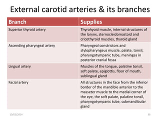External carotid arteries & its branches
Branch

Supplies

Superior thyroid artery

Thyrohyoid muscle, internal structures of
the larynx, sternocleidomastoid and
cricothyroid muscles, thyroid gland

Ascending pharyngeal artery

Pharyngeal constrictors and
stylopharyngeus muscle, palate, tonsil,
pharyngotympanic tube, meninges in
posterior cranial fossa

Lingual artery

Muscles of the tongue, palatine tonsil,
soft palate, epiglottis, floor of mouth,
sublingual gland

Facial artery

All structures in the face from the inferior
border of the mandible anterior to the
masseter muscle to the medial corner of
the eye, the soft palate, palatine tonsil,
pharyngotympanic tube, submandibular
gland

10/02/2014

30

 