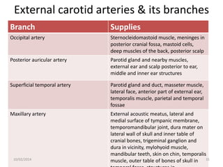 External carotid arteries & its branches
Branch

Supplies

Occipital artery

Sternocleidomastoid muscle, meninges in
posterior cranial fossa, mastoid cells,
deep muscles of the back, posterior scalp

Posterior auricular artery

Parotid gland and nearby muscles,
external ear and scalp posterior to ear,
middle and inner ear structures

Superficial temporal artery

Parotid gland and duct, masseter muscle,
lateral face, anterior part of external ear,
temporalis muscle, parietal and temporal
fossae

Maxillary artery

External acoustic meatus, lateral and
medial surface of tympanic membrane,
temporomandibular joint, dura mater on
lateral wall of skull and inner table of
cranial bones, trigeminal ganglion and
dura in vicinity, mylohyoid muscle,
mandibular teeth, skin on chin, temporalis
muscle, outer table of bones of skull in 31

10/02/2014

 