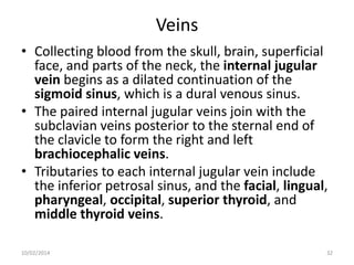 Veins
• Collecting blood from the skull, brain, superficial
face, and parts of the neck, the internal jugular
vein begins as a dilated continuation of the
sigmoid sinus, which is a dural venous sinus.
• The paired internal jugular veins join with the
subclavian veins posterior to the sternal end of
the clavicle to form the right and left
brachiocephalic veins.
• Tributaries to each internal jugular vein include
the inferior petrosal sinus, and the facial, lingual,
pharyngeal, occipital, superior thyroid, and
middle thyroid veins.
10/02/2014

32

 