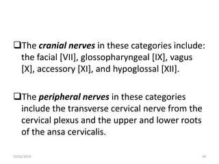 The cranial nerves in these categories include:
the facial [VII], glossopharyngeal [IX], vagus
[X], accessory [XI], and hypoglossal [XII].

The peripheral nerves in these categories
include the transverse cervical nerve from the
cervical plexus and the upper and lower roots
of the ansa cervicalis.
10/02/2014

34

 
