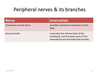 Peripheral nerves & its branches
Nerve

Innervation

Transverse cervical nerve

provides cutaneous innervation to this
area

Ansa cervicalis

innervates the inferior belly of the
omohyoid, and the lower parts of the
sternohyoid and sternothyroid muscles.

10/02/2014

38

 