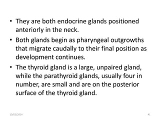 • They are both endocrine glands positioned
anteriorly in the neck.
• Both glands begin as pharyngeal outgrowths
that migrate caudally to their final position as
development continues.
• The thyroid gland is a large, unpaired gland,
while the parathyroid glands, usually four in
number, are small and are on the posterior
surface of the thyroid gland.
10/02/2014

41

 