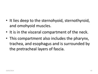 • It lies deep to the sternohyoid, sternothyroid,
and omohyoid muscles.
• It is in the visceral compartment of the neck.
• This compartment also includes the pharynx,
trachea, and esophagus and is surrounded by
the pretracheal layers of fascia.

10/02/2014

43

 