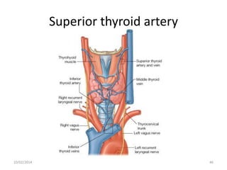 Superior thyroid artery

10/02/2014

46

 
