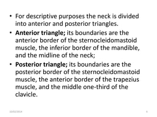 • For descriptive purposes the neck is divided
into anterior and posterior triangles.
• Anterior triangle; its boundaries are the
anterior border of the sternocleidomastoid
muscle, the inferior border of the mandible,
and the midline of the neck;
• Posterior triangle; its boundaries are the
posterior border of the sternocleidomastoid
muscle, the anterior border of the trapezius
muscle, and the middle one-third of the
clavicle.
10/02/2014

6

 
