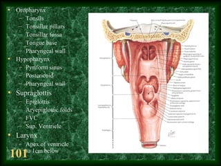 101
• Oropharynx
– Tonsils
– Tonsillar pillars
– Tonsillar fossa
– Tongue base
– Pharyngeal wall
• Hypopharynx
– Pyriform ...
