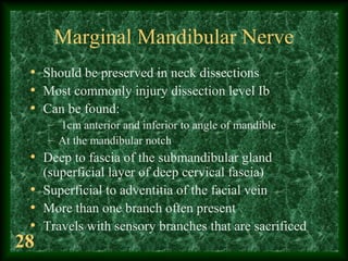 28
Marginal Mandibular Nerve
• Should be preserved in neck dissections
• Most commonly injury dissection level Ib
• Can be...