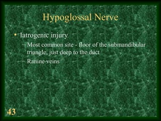 43
Hypoglossal Nerve
• Iatrogenic injury
– Most common site - floor of the submandibular
triangle, just deep to the duct
–...