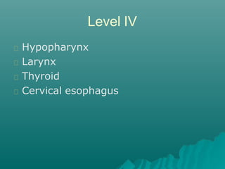 Level IV
Hypopharynx
Larynx
Thyroid
Cervical esophagus
 