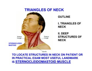 TRIANGLES OF NECK
                              OUTLINE

                              I. TRIANGLES OF
                              NECK

                              II. DEEP
                              STRUCTURES OF
                              NECK
STERNOCLEIDO-
MASTOID




   TO LOCATE STRUCTURES IN NECK ON PATIENT OR
   IN PRACTICAL EXAM MOST USEFUL LANDMARK
   IS STERNOCLEIDOMASTOID MUSCLE
 