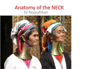 Anatomy of the NECK
Dr Noorafshan
 
