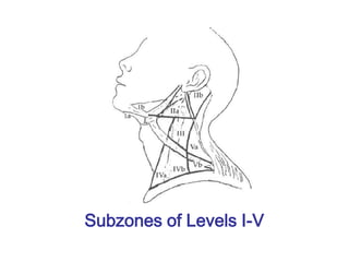 Subzones of Levels I-V