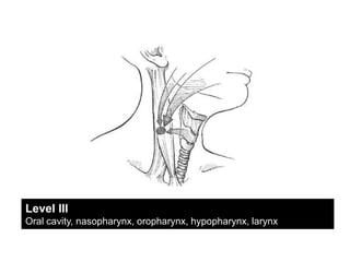 Level IIIOral cavity, nasopharynx, oropharynx, hypopharynx, larynx