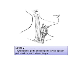 Level VIThyroid gland, glottic and subglotticlarynx, apex of piriform sinus, cervical esophagus