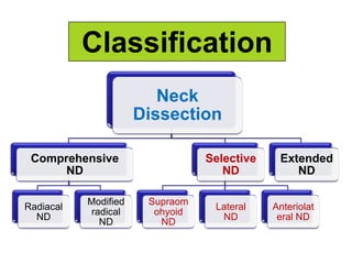 Classification