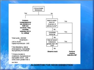Neck dissection | PPT
