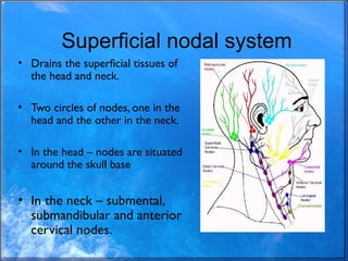 Superficial nodal system
• Drains the superficial tissues of
the head and neck.
• Two circles of nodes, one in the
head an...