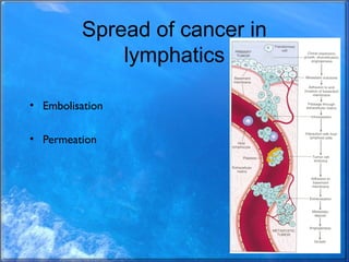 Spread of cancer in
lymphatics
• Embolisation
• Permeation
 