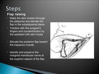 Flap raising
 Make the skin incision through
the platysma and elevate the
flap in the subplatysmal plane.
 Traction with the surgeon's
fingers and countertraction by
the assistant with skin hooks
 Elevate the posterior flap toward
the trapezius muscle.
 Identify and preserve the
marginal mandibular nerve at
the superior aspect of the flap.
 