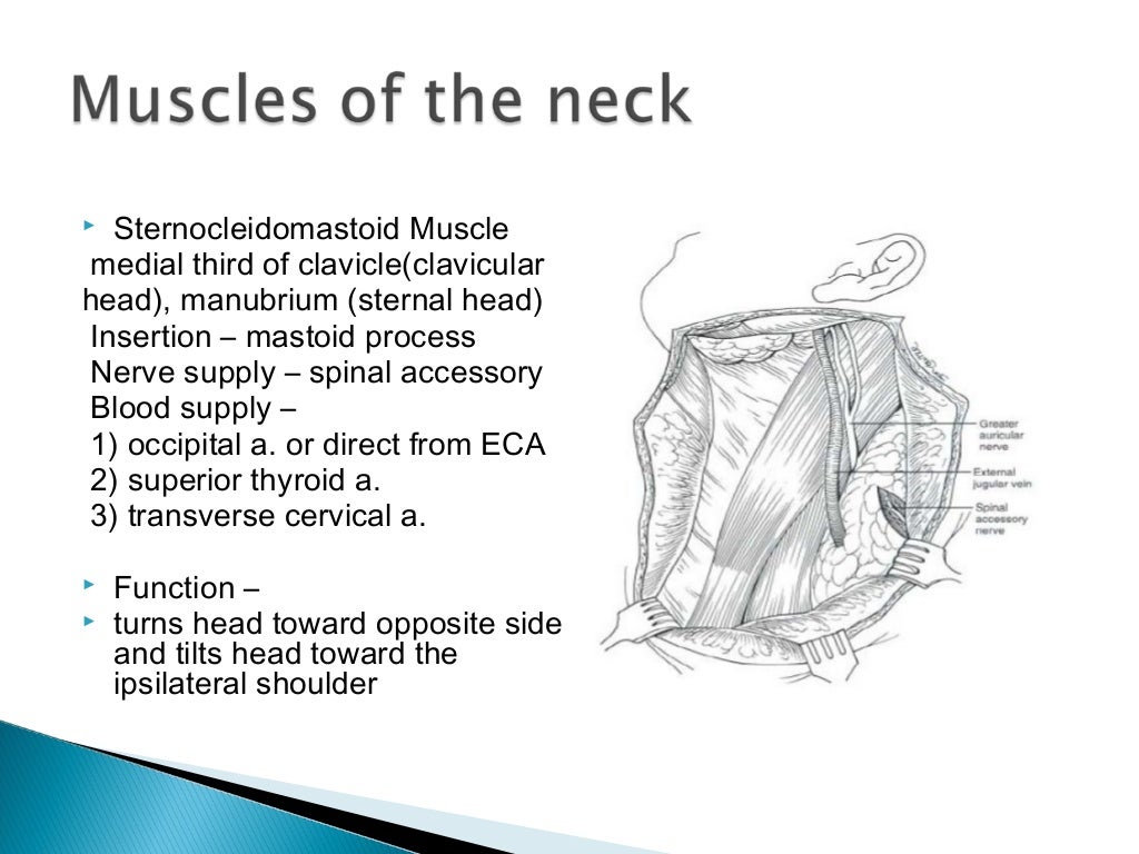 Neck dissection