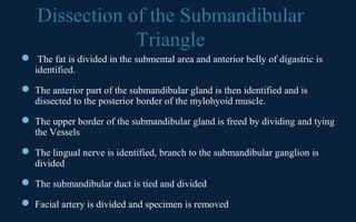 Neck dissection | PPT