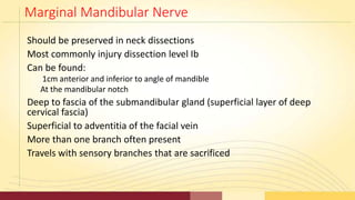Marginal Mandibular Nerve
Should be preserved in neck dissections
Most commonly injury dissection level Ib
Can be found:
1...